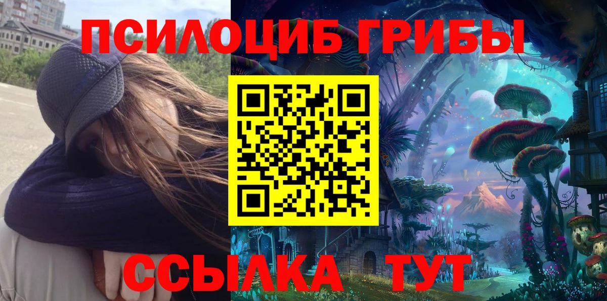 APVP Мирный