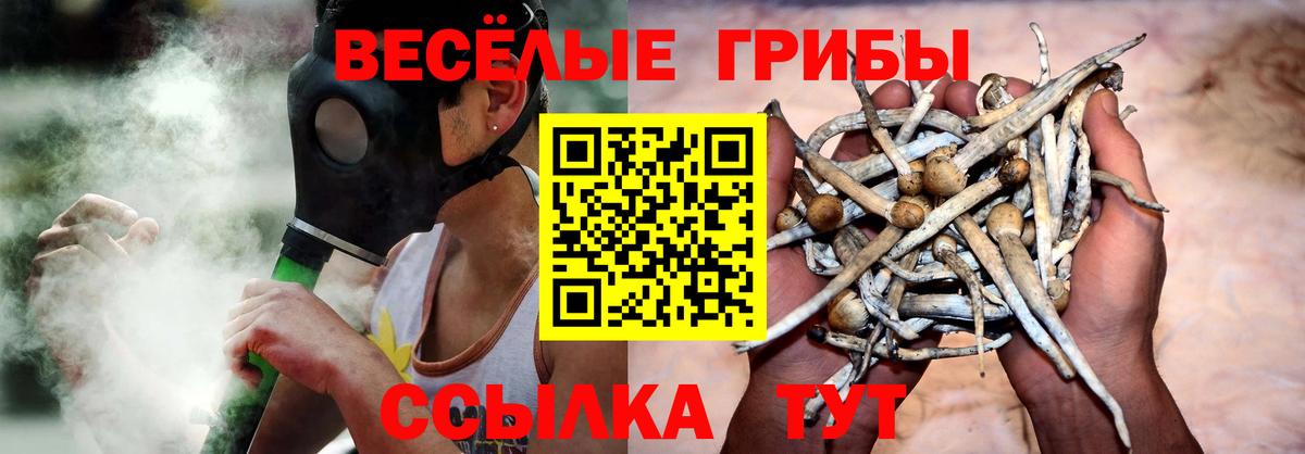 Псилоцибиновые грибы Cubensis  Вход с VPN  Мирный 